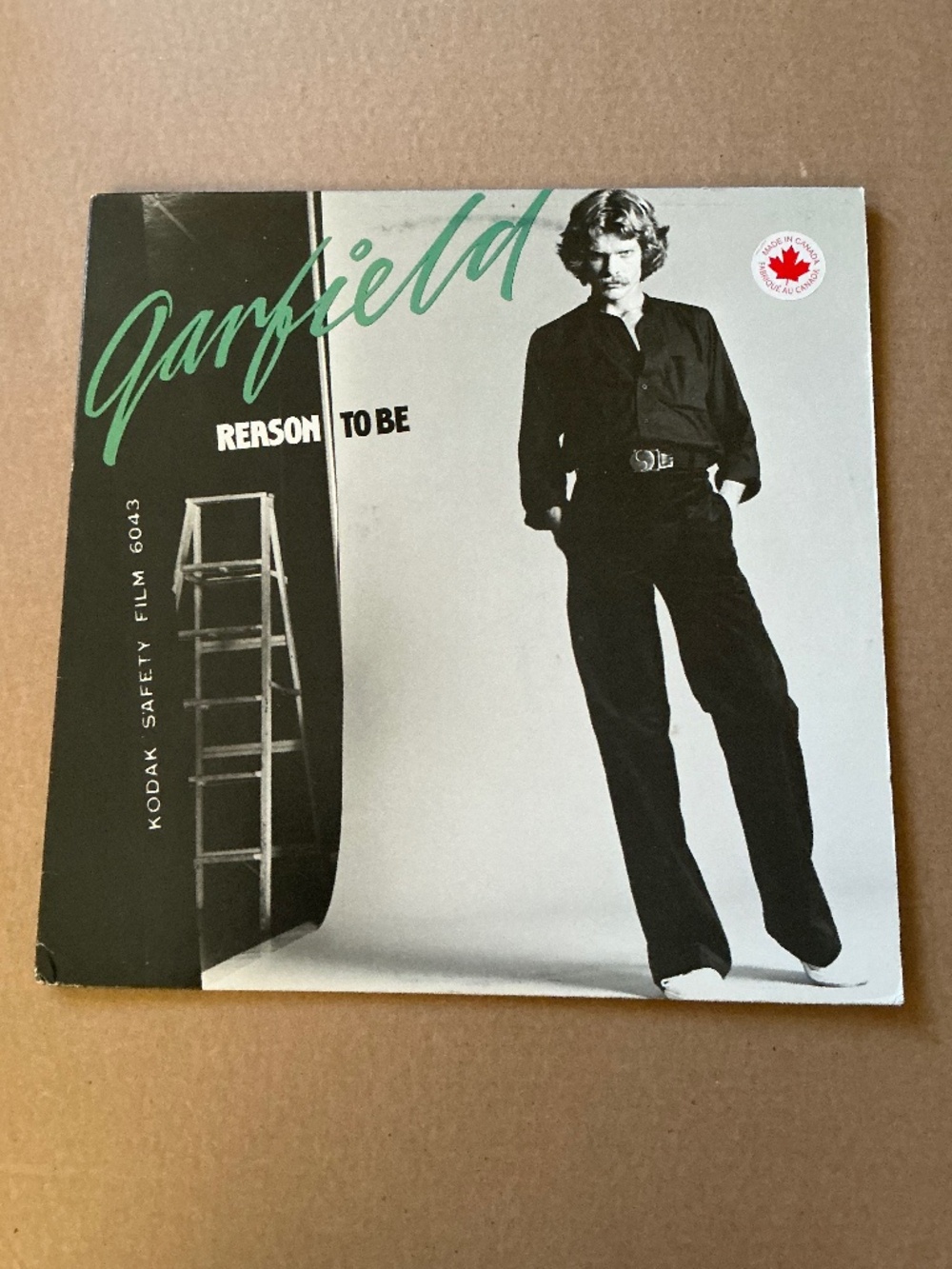 Garfield Reason To Be Vinyl Polydor 1979